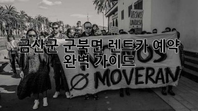 금산군 군북면 렌트카 예약 완벽 가이드